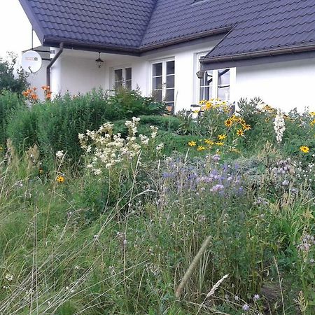 Bizon Guest House Sadowne Exterior photo